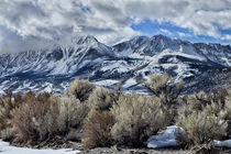 Sage and Sierras by Kathleen Bishop