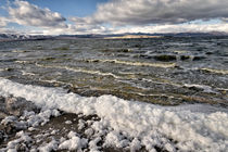 Mono Lake von Kathleen Bishop