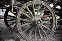 Raw Chariot Wheel von agrofilms
