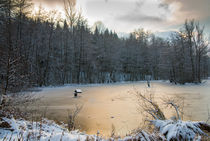 Schlüsselsee im Schaichtal - Naturpark Schönbuch im Winter von Matthias Hauser