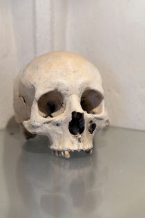 Skull by morten larsen