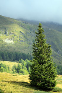 Gebirge von jaybe