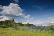 Sommer am See von lisa-glueck