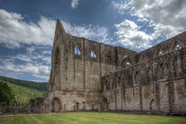 Tintern Abbey von David Tinsley