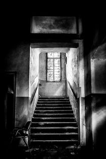 This is the way, step inside by Traven Milovich