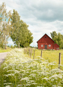 Swedish summer von Leopold Brix