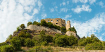 Ruine Ehrenfels (1) von Erhard Hess