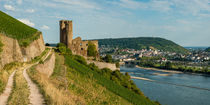 Ruine Ehrenfels vor Bingen (6) by Erhard Hess