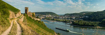 Ruine Ehrenfels vor Bingen (7) by Erhard Hess