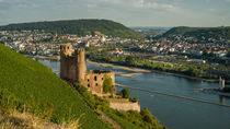 Ruine Ehrenfels vor Bingen (16) von Erhard Hess