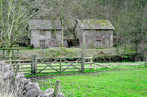 Bone Crushing Mill, near Ashford-in-the-Water von Rod Johnson