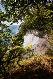 Blick auf Kreidefelsen von papadoxx-fotografie