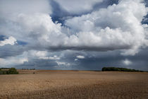 Feld bei Samntens von papadoxx-fotografie