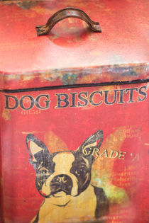 Dog Biscuits by agrofilms