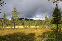 Lappland 25 von Karina Baumgart