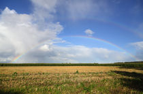 Land unterm Regenbogen - Land under the rainbow von ropo13