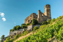 Ruine Ehrenfels 79 von Erhard Hess