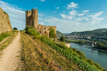 Ruine Ehrenfels vor Bingen by Erhard Hess