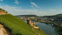 Ruine Ehrenfels vor Bingen 60 by Erhard Hess