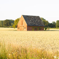 Sommerabend by Björn Wortmann