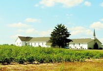 Church in the Cotton Fields von eloiseart