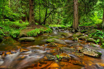 Bode bei Schierke im Harz by ullrichg