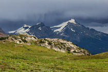 Marmot Meadow von Kathleen Bishop