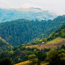 Countryside by Maria Livia Chiorean