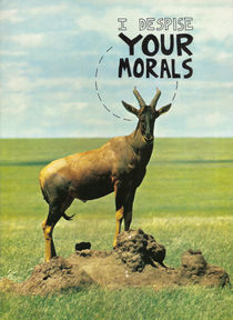 I Despise Your Morals von Neil Campau