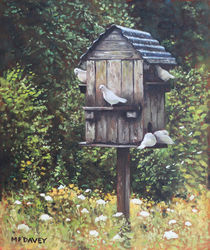 White Doves using a Dovecote  von Martin  Davey