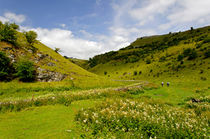 Cressbrook Dale near to Wardlow von Rod Johnson