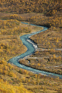 Sarek stream #1 von Nicklas Wijkmark