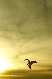 two kites kissing make a butterfly - Zwei küssende Drachen werden ein Schmetterling by mateart