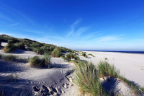 Langeoog / Dünenlandschaft by Jens Uhlenbusch