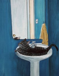 Cat in a Sink by Anastasiya Malakhova