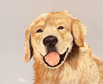 Golden Retriever by Anastasiya Malakhova