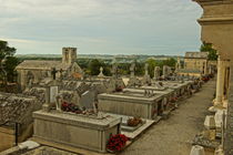 Friedhof von Franziska Giga Maria