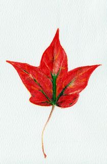 Maple Leaf von Anastasiya Malakhova