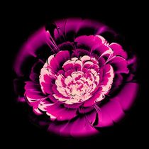 Pink Flower von Anastasiya Malakhova