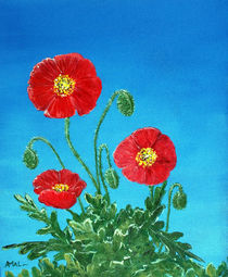 Poppies on Blue by Anastasiya Malakhova