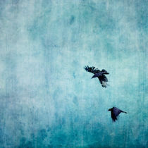 Ravens Flight by Priska  Wettstein