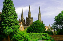 Lichfield Cathedral from the Garden von Rod Johnson