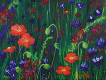 Wild Poppies von Anastasiya Malakhova