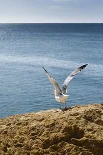 Abflug von Stephan Zaun