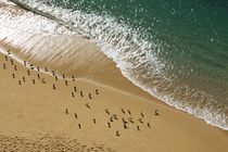 Strand und Meer by Stephan Zaun