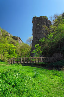 Ilam Rock and Ilam Rock Bridge von Rod Johnson