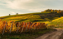 Goldener Herbst by Erhard Hess