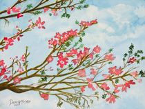 silk floss tree flowers von Derek McCrea