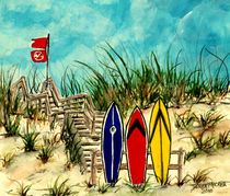 Surf at Your Own Risk by Derek McCrea