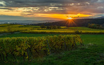 Abendsonne über Kiedrich von Erhard Hess